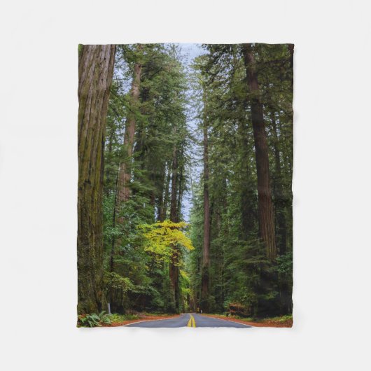 Geradewegs durch den Misty Redwood Forest-S Fleecedecke (Vorderseite)