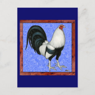 Gerahmt Gamecock Postkarte