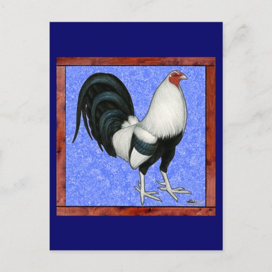 Gerahmt Gamecock Postkarte (Vorderseite)