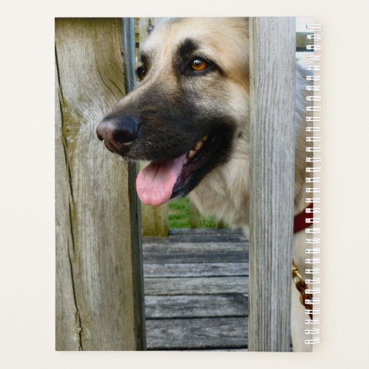 Gerahmt Planer (Rückseite)