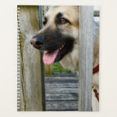 Gerahmt Planer (Vorderseite)