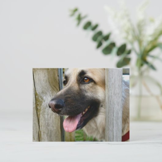 Gerahmt Postkarte (Stehend Vorderseite)