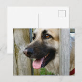 Gerahmt Postkarte (Vorne/Hinten)