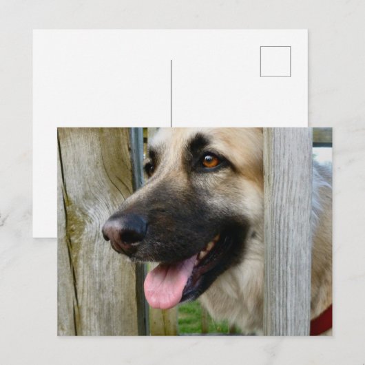 Gerahmt Postkarte (Vorne/Hinten)