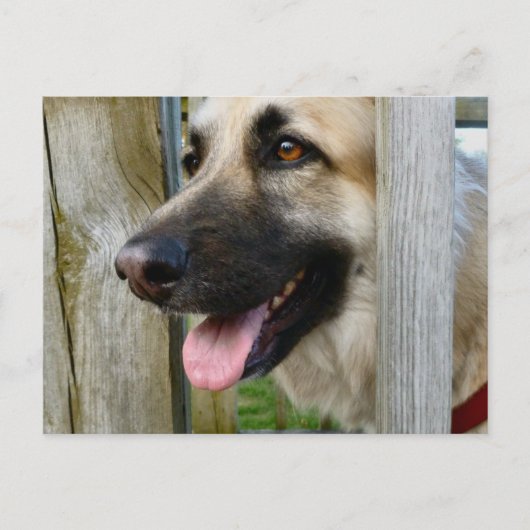 Gerahmt Postkarte (Vorderseite)