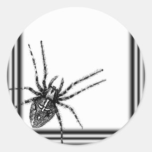 Gerahmt Tarantula Halloween Runder Aufkleber
