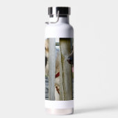 Gerahmt Trinkflasche (Rechts)