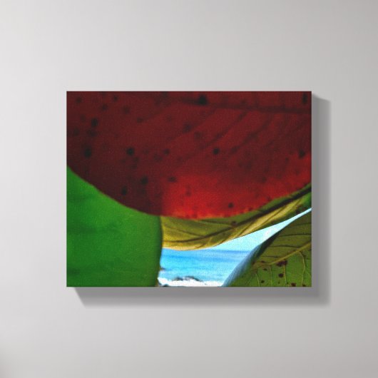 Gerahmt von Natur - Tropische Blätter & Leinwand d (Vorderseite)