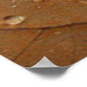 Gerahmte Ausgabe im Herbst Poster (Ecke)