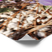 Gerahmte Cyclamen Poster (Ecke)