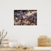 Gerahmte Cyclamen Poster (Küche)