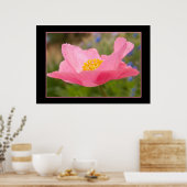 Gerahmte Farbe Rosa Mohnfotografie Nah-up Poster (Küche)