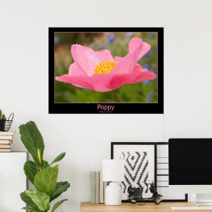 Gerahmte Farbe Rosa Mohnfotografie Nah-up Poster