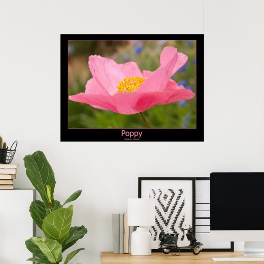 Gerahmte Farbe Rosa Mohnfotografie Nah-up Poster (Heimbüro)