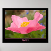 Gerahmte Farbe Rosa Mohnfotografie Nah-up Poster (Vorne)