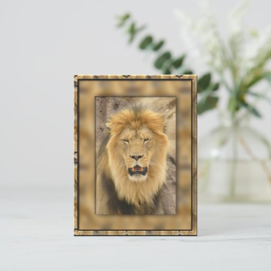 Gerahmte Lion Postkarte (Stehend Vorderseite)