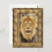 Gerahmte Lion Postkarte (Vorne/Hinten)