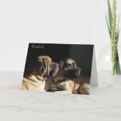 Gerahmte Mastiff Pair Card Feiertagskarte (Rückseite)