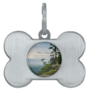 Gerahmte Pet-Tag Tiermarke