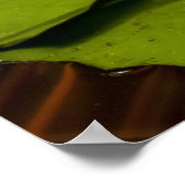 Gerahmte Wasserlilie Poster (Ecke)