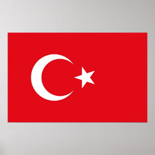 Gerahmter Druck mit Fahne in der Türkei Poster