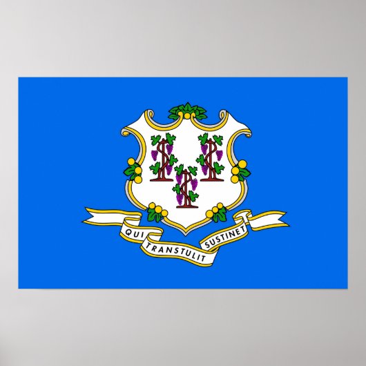 Gerahmter Druck mit Flag von Connecticut , USA. Poster (Vorne)