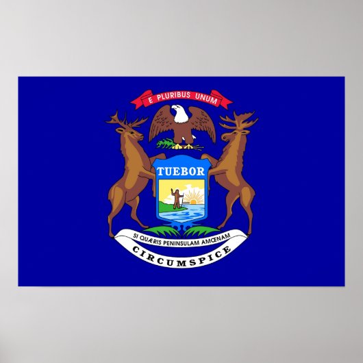 Gerahmter Druck mit Flag von Michigan, USA. Poster (Vorne)