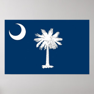 Gerahmter Druck mit Flag von South Carolina, USA. Poster