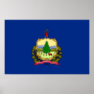 Gerahmter Druck mit Flag von Vermont, USA. Poster