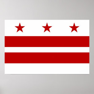 Gerahmter Druck mit Flag von Washington DC, USA. Poster