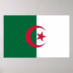 Gerahmter Druck unter algerischer Flagge Poster