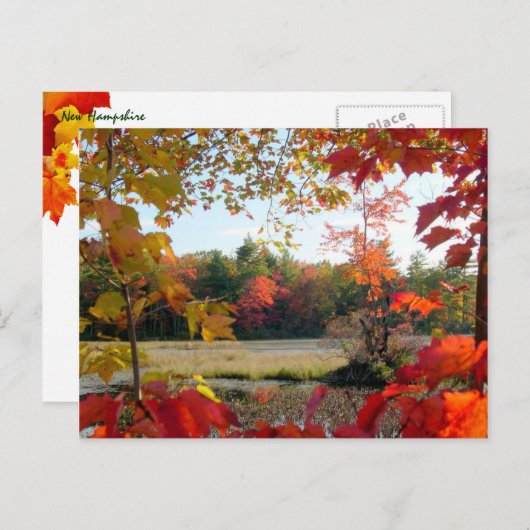 Gerahmter Herbstsee Postkarte (Vorne/Hinten)