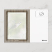 Gerahmter Hummingvogel Postkarte (Rückseite)