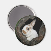 Gerahmtes Kaninchen Magnet (Vorderseite/Rückseite)