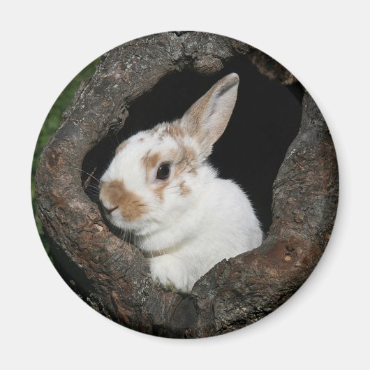 Gerahmtes Kaninchen Magnet (Vorne)