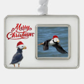 Gerahmtes Ornament der Puffstiere Rahmen-Ornament Silber (Vorderseite)