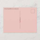 Gerahmtes Portrait der Rose Lima (K 48) Postkarte (Rückseite)