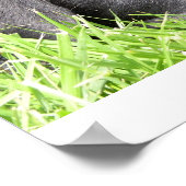 Gerahmtes Schwarzes Labor Poster (Ecke)