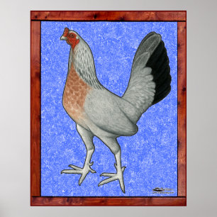 Gerahmtes Spielhuhn Poster