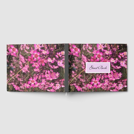 Geraldton Wax Gästebuch (Voll)