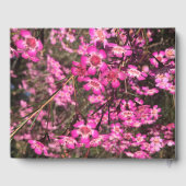 Geraldton Wax Gästebuch (Rückseite)