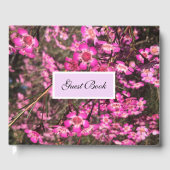 Geraldton Wax Gästebuch (Vorderseite)