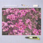 Geraldton Wax Seidenpapier (Handwerk)