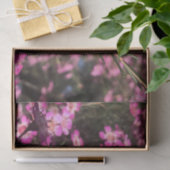 Geraldton Wax Seidenpapier (Geschenk)