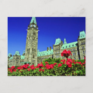 Geranbetten in voller Blüte auf dem Hügel des Parl Postkarte