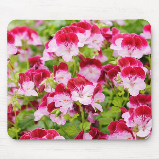 Geranie Mousepad (Vorne)