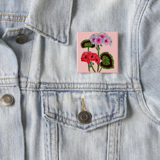 Geranien Button (Beispiel)