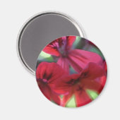Geranien gestrichen magnet (Vorderseite/Rückseite)
