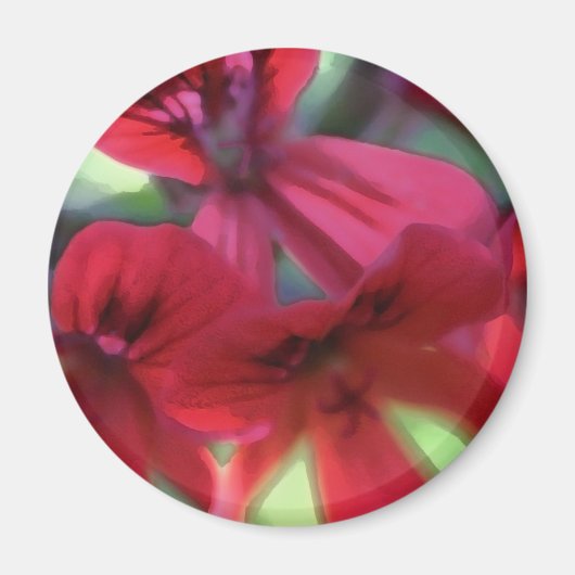 Geranien gestrichen magnet (Vorne)