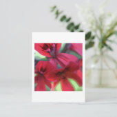 Geranien gestrichen postkarte (Stehend Vorderseite)